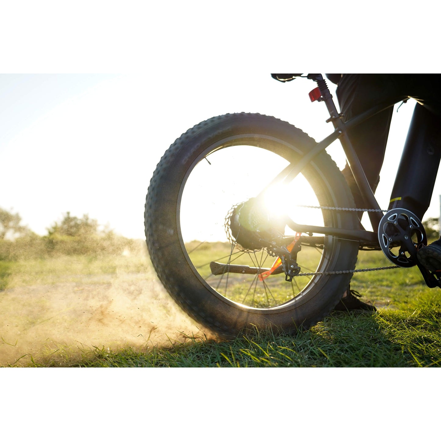 DYU King 750 26 Inch Fat Tire Electric Bike