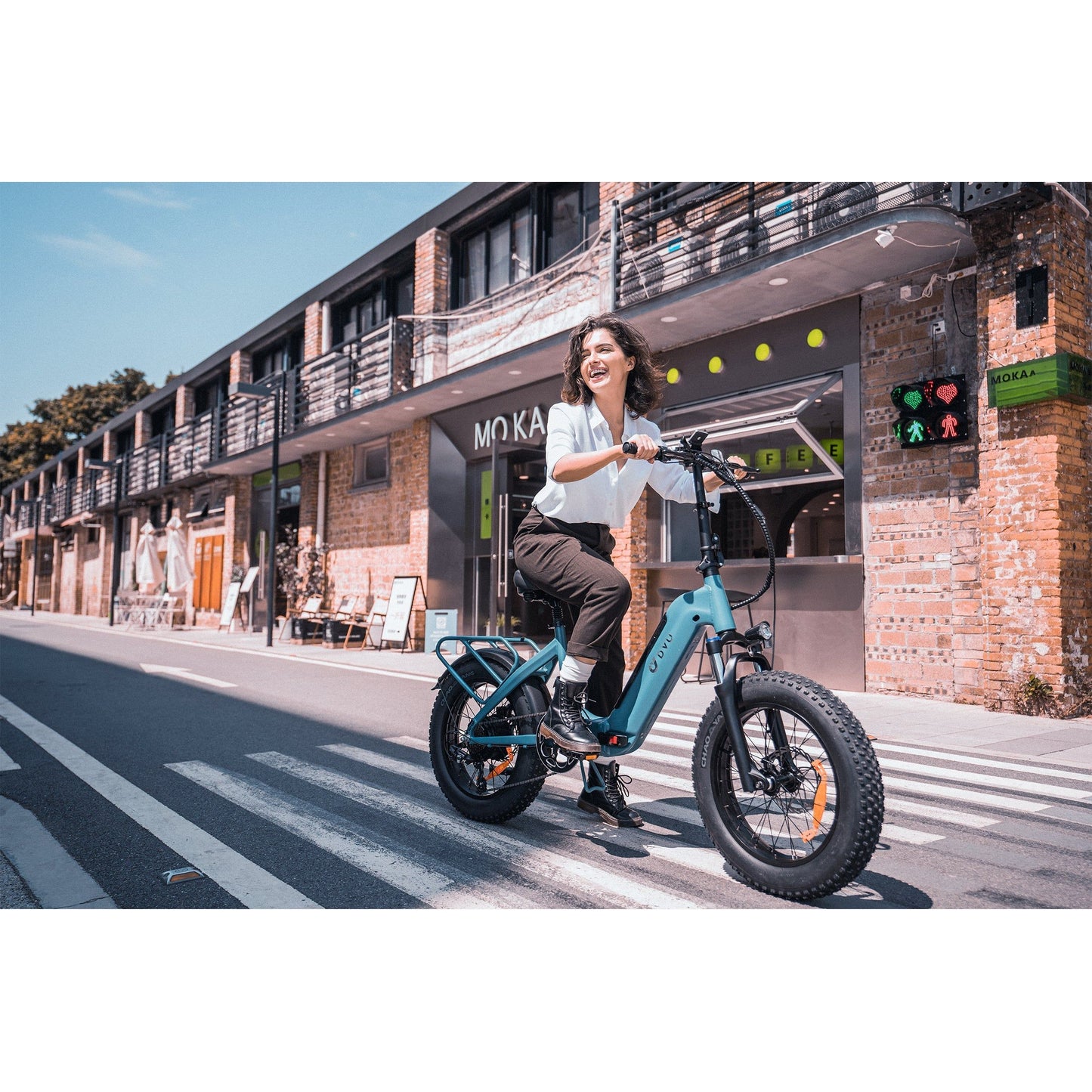 DYU FF500 20 Inch Fat Tire Electric Bike