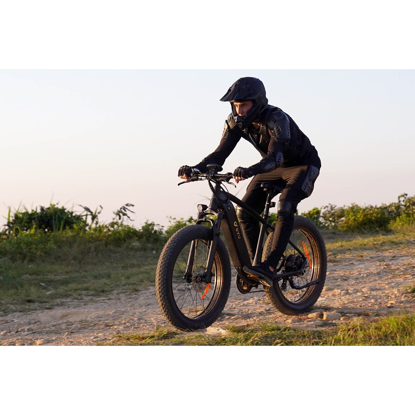 DYU King 750 26 Inch Fat Tire Electric Bike