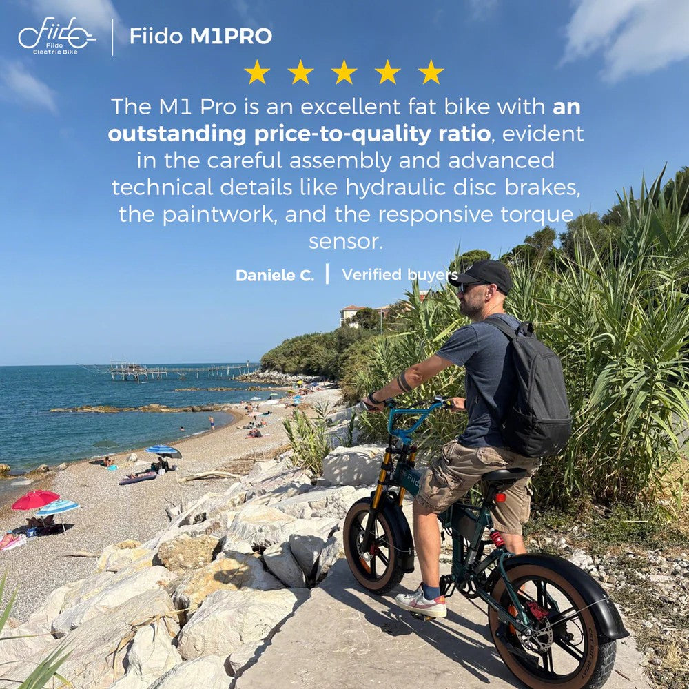 Fiido M1 Pro Fat Tire Electric Bike - Pre-Order for Christmas