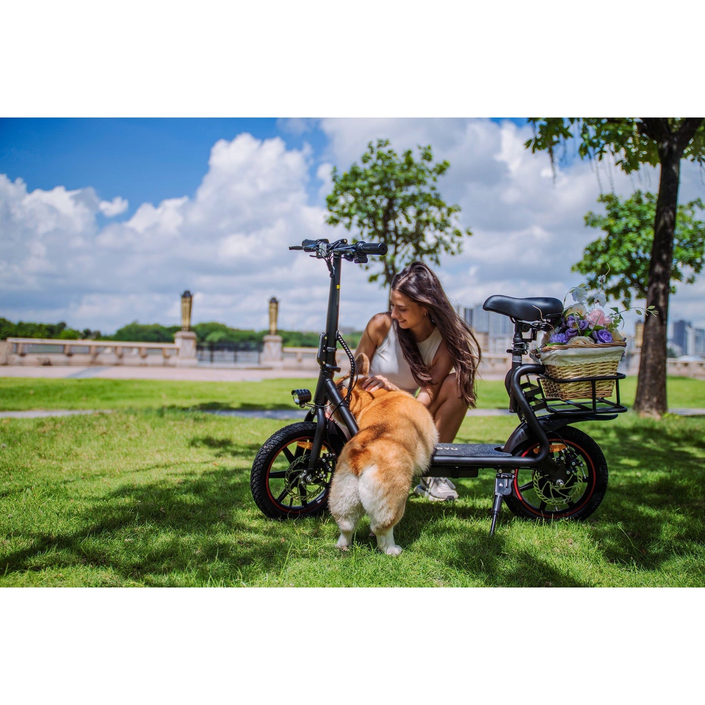 DYU C4 14 inch Foldable E-Bike