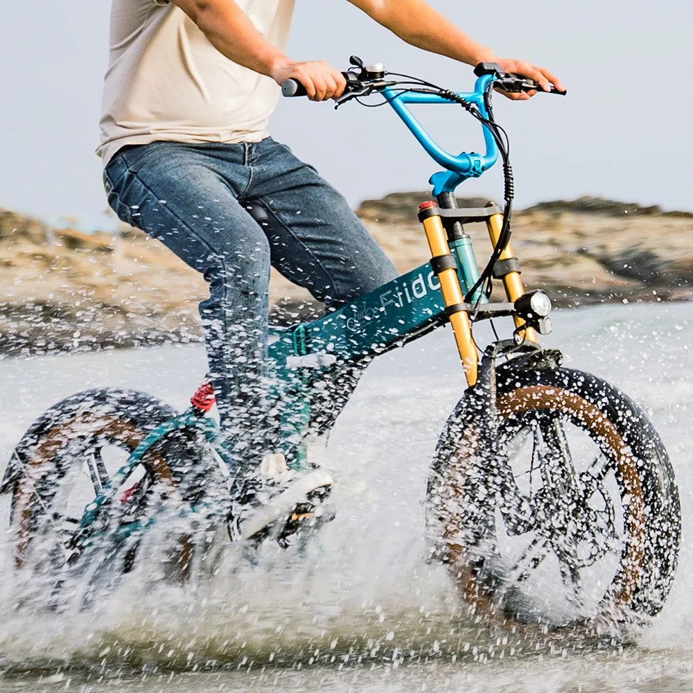 Fiido M1 Pro Fat Tire Electric Bike - Pre-Order for Christmas