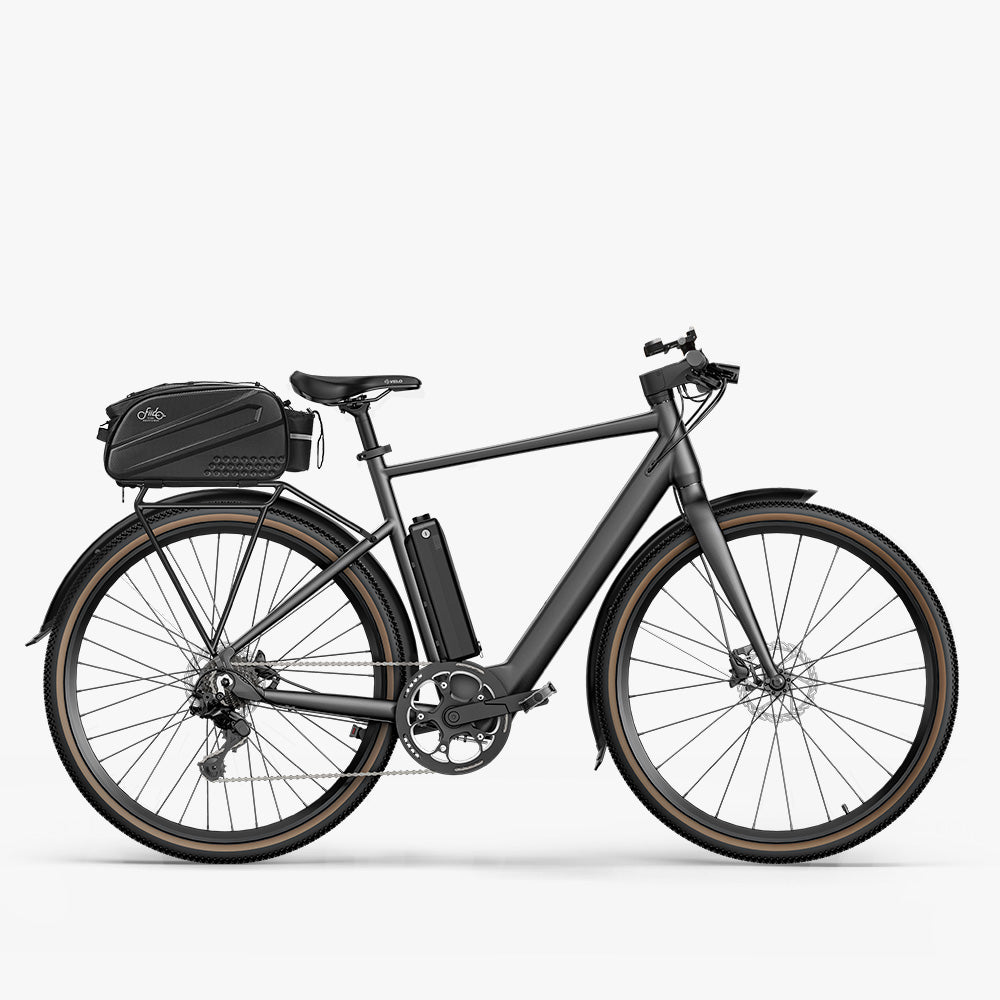 Fiido C21 Gravel & City E-bike