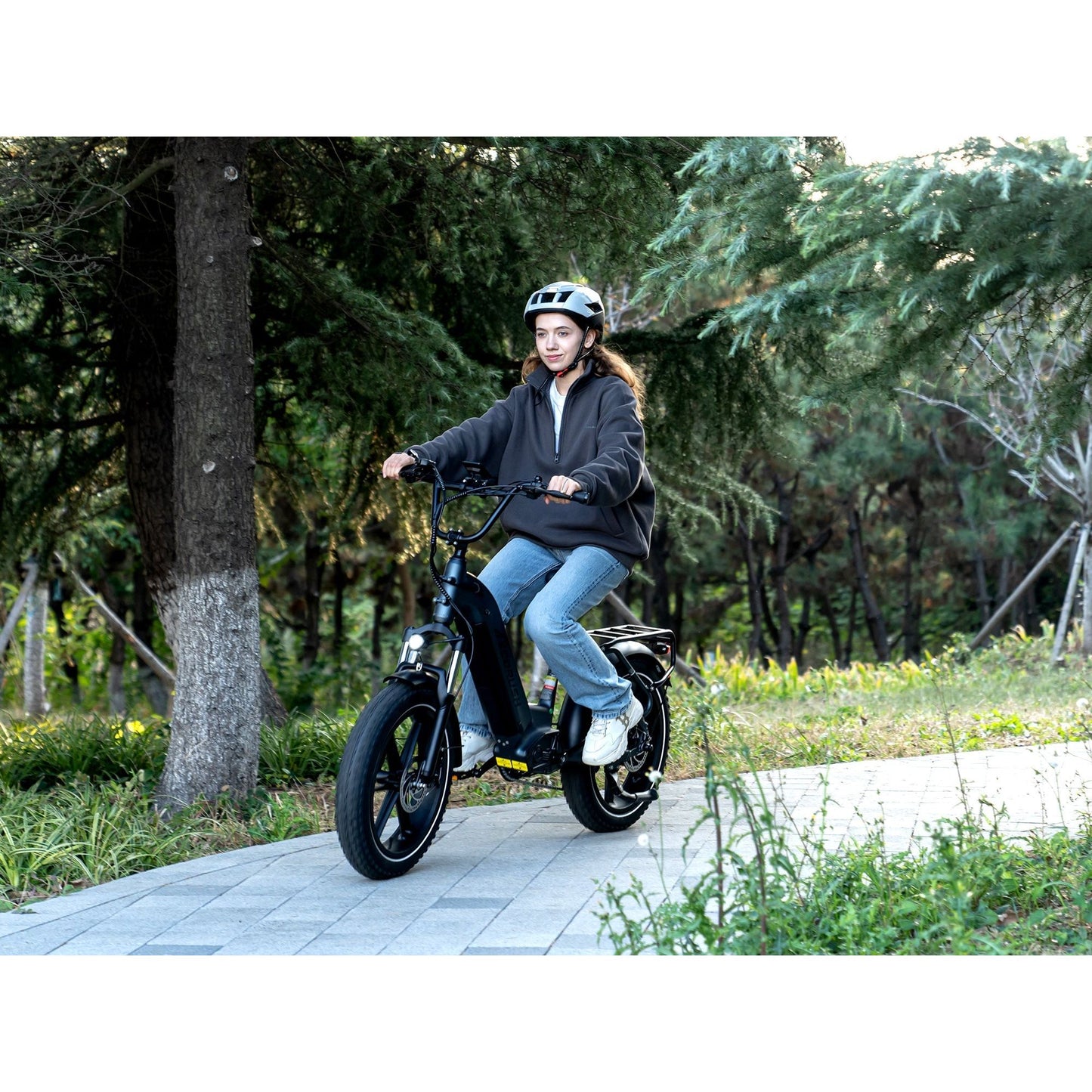 ECO R6 20*4.0 Fat Tire Electric Bike