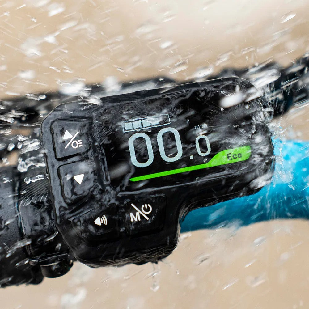 Fiido M1 Pro Fat Tire Electric Bike - Pre-Order for Christmas