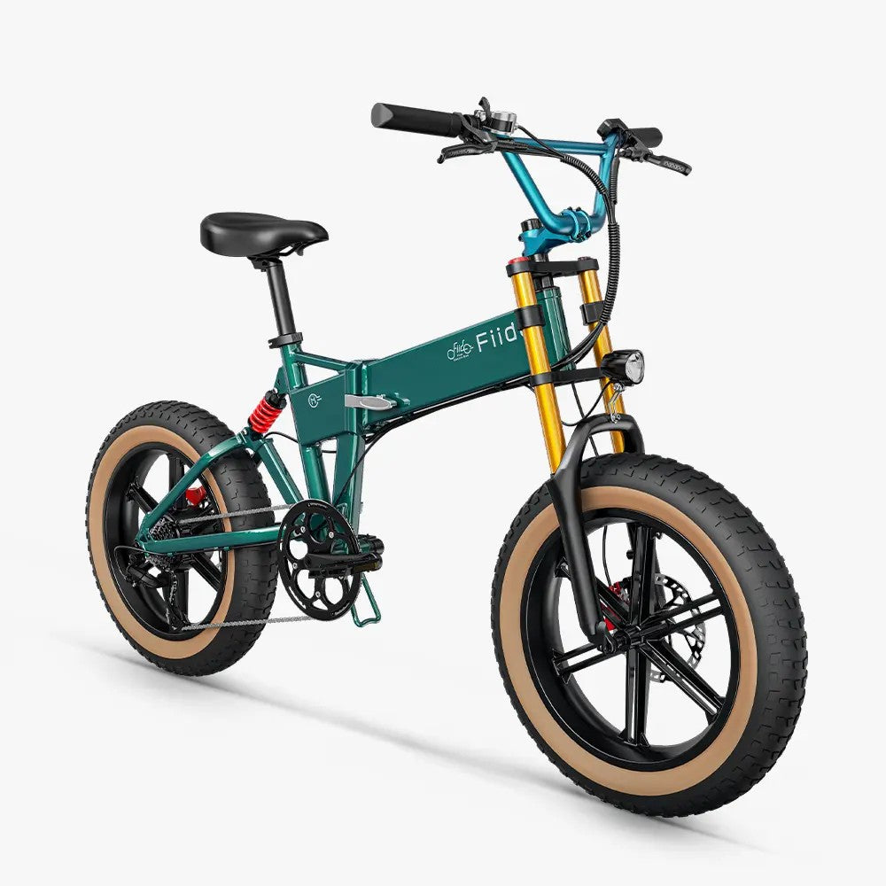 Fiido M1 Pro Fat Tire Electric Bike - Pre-Order for Christmas
