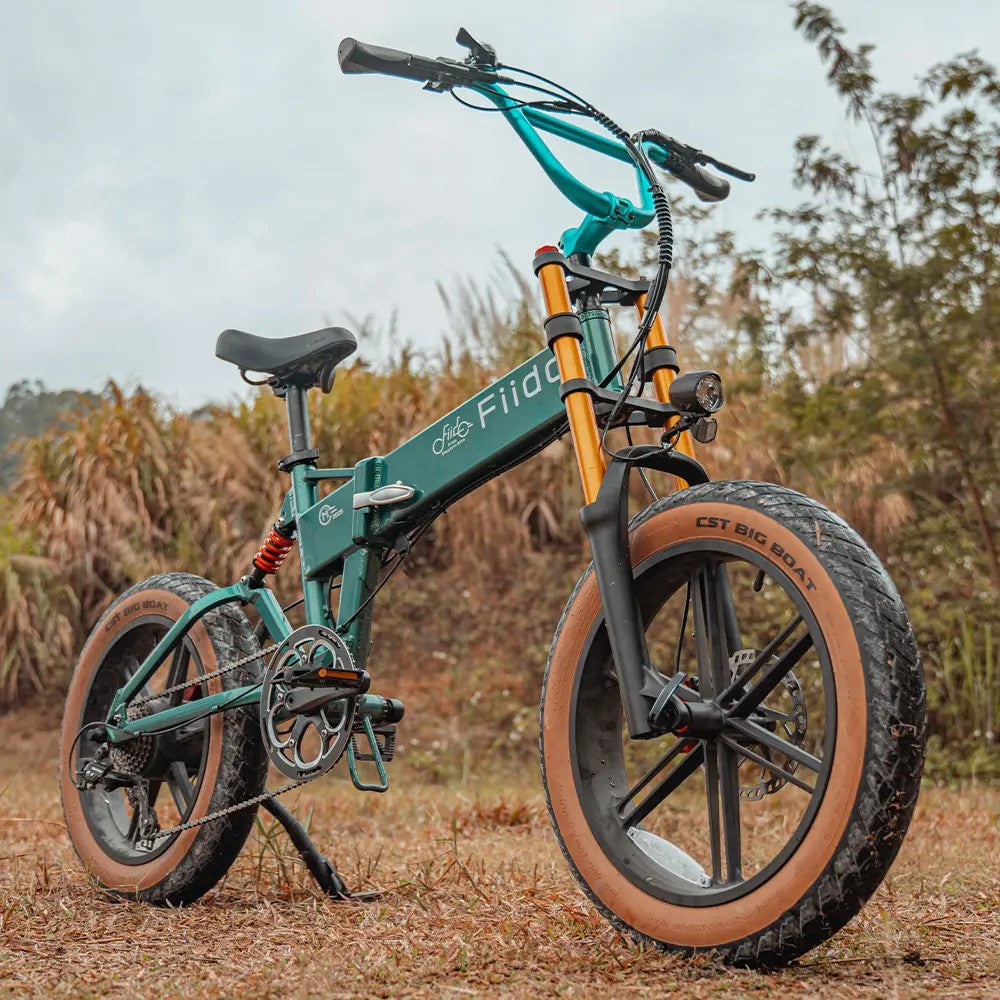 Fiido M1 Pro Fat Tire Electric Bike - Pre-Order for Christmas