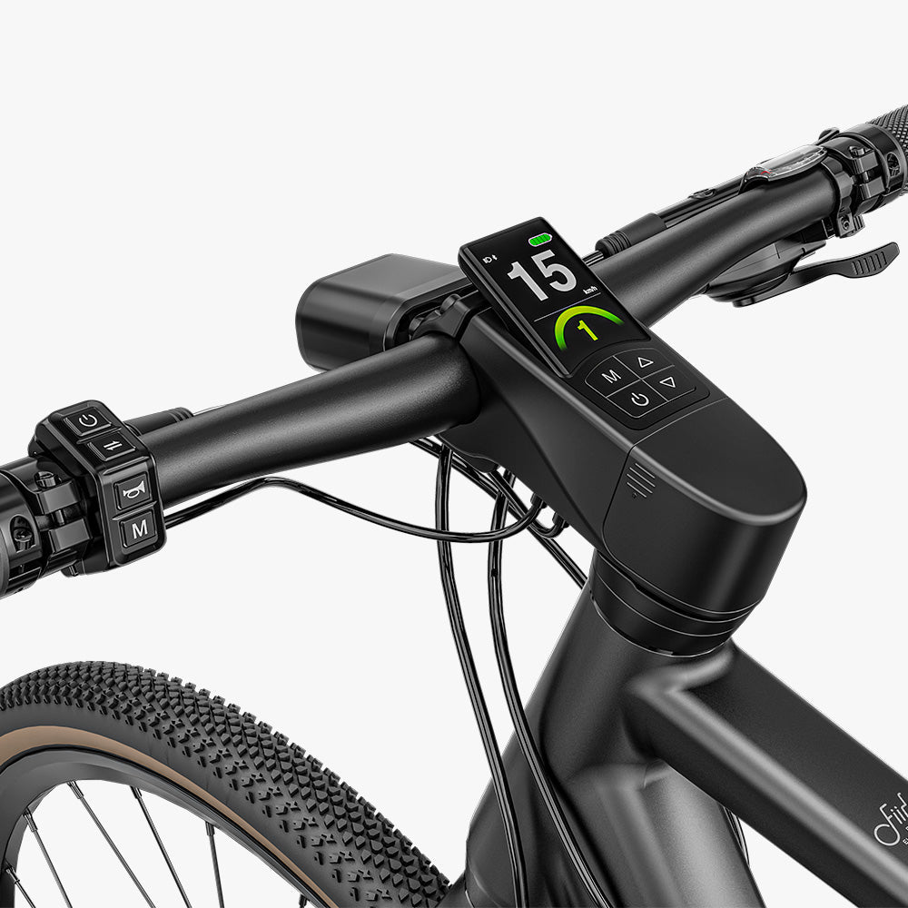 Fiido C21 Gravel & City E-bike