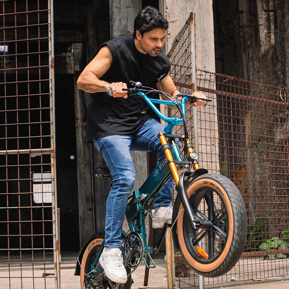 Fiido M1 Pro Fat Tire Electric Bike - Pre-Order for Christmas