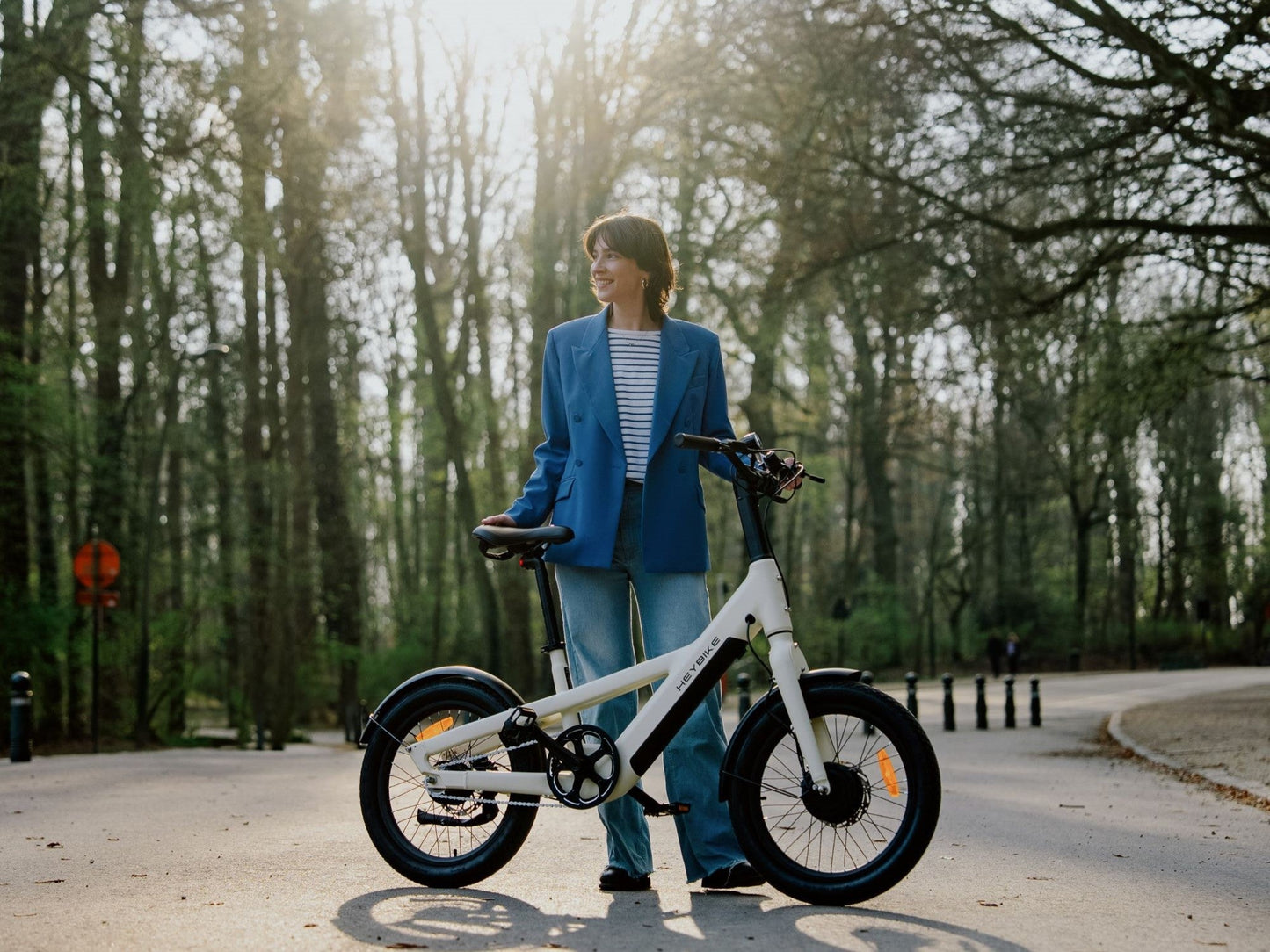 Heybike EC Compact City