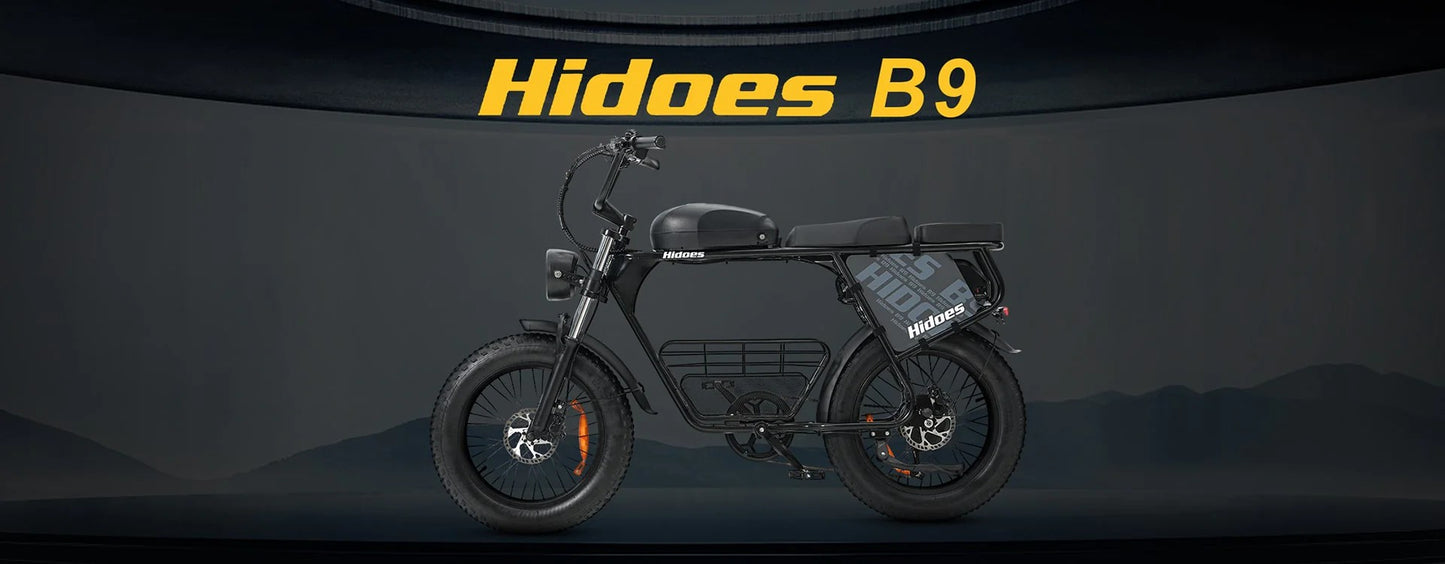 Hidoes B9 Dual Battery Electric Bike