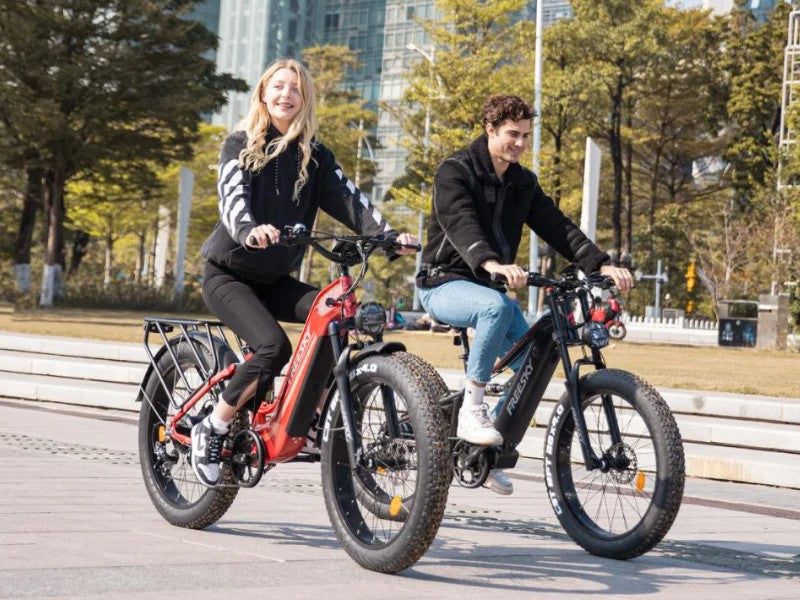 FREESKY Wild Cat Ultra A-340 Electric Bike
