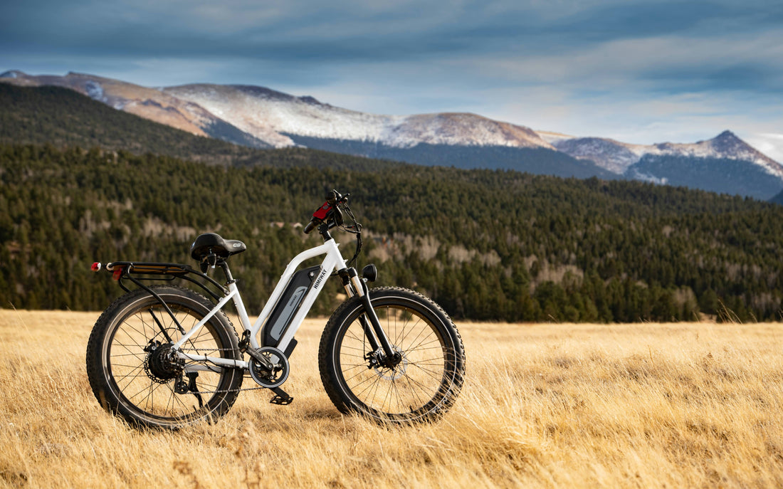 The Rise of Electric Bikes: Why Rocket Ebikes is Your Go-To Destination