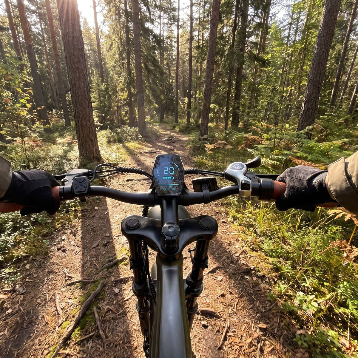 DYU M20 Electric Bike UK | 250W Long Range Fat Tyre E-Bike