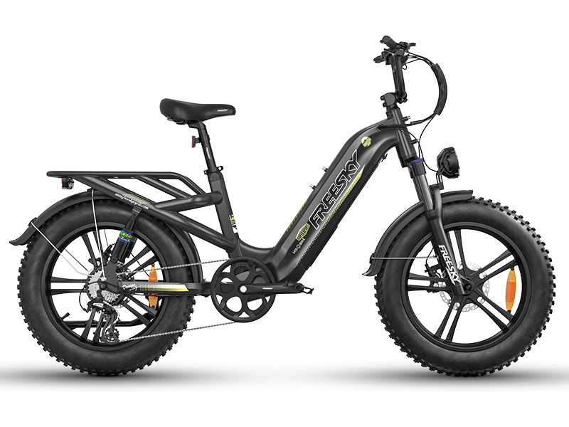 FREESKY Rocky Pro A-320 Step-Through Electric Bike