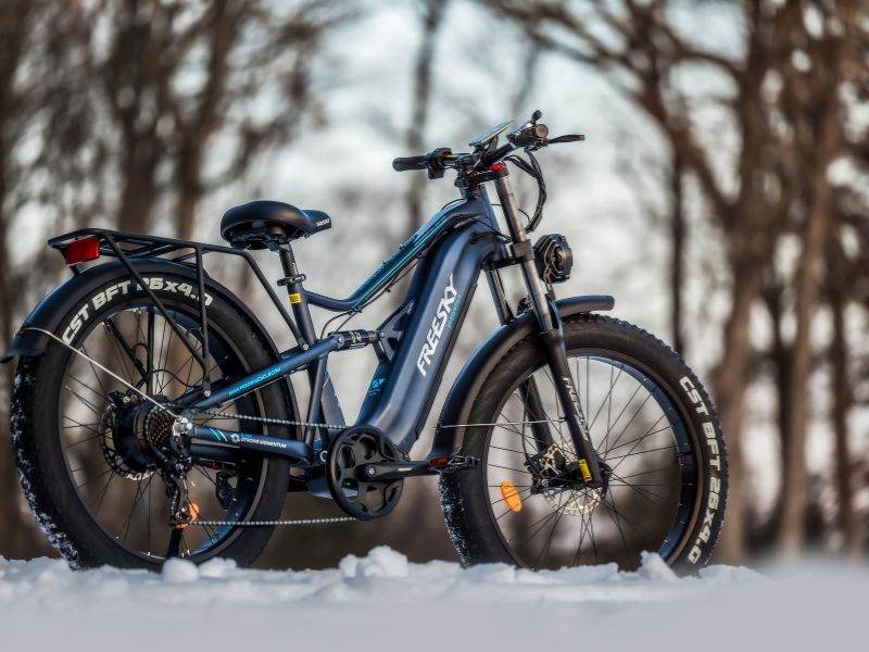 FREESKY Swift Horse Ultra X-6E Electric Bike