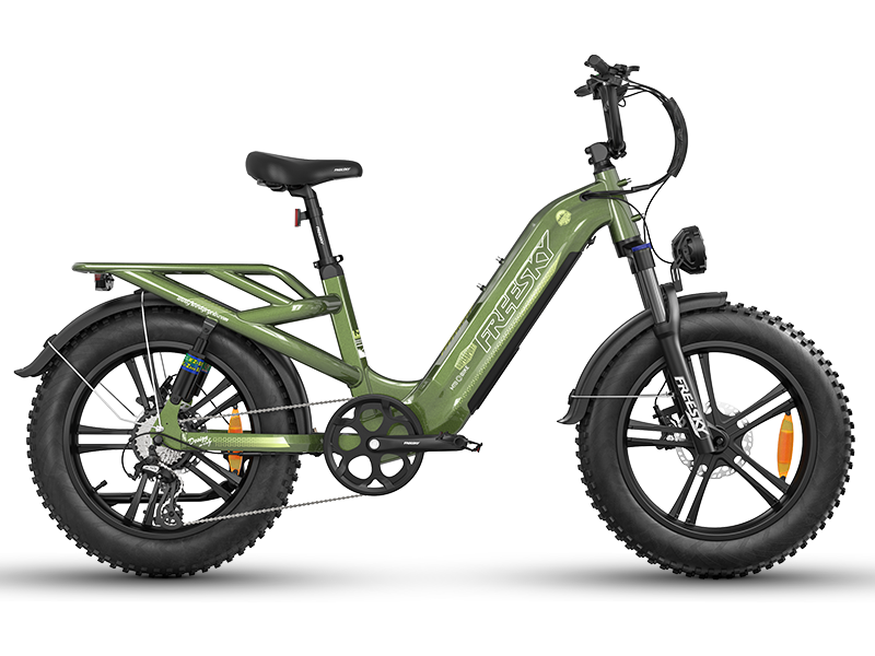 FREESKY Rocky Pro A-320 Step-Through Electric Bike