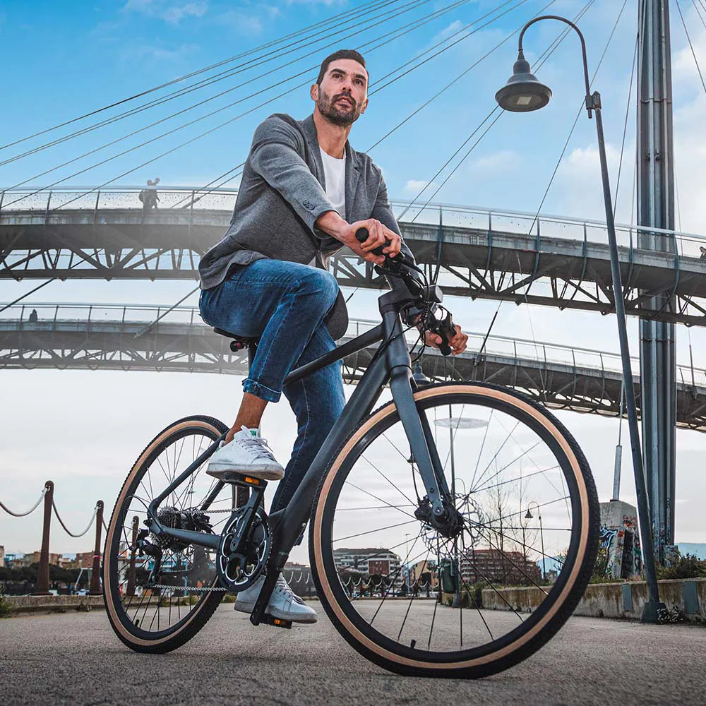 Fiido C21 E-gravel & city E-bike