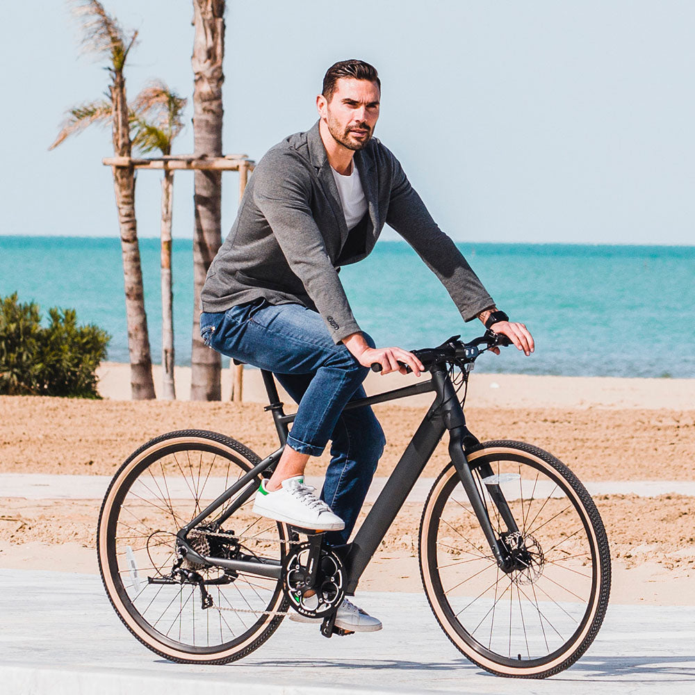 Fiido C21 E-gravel & city E-bike