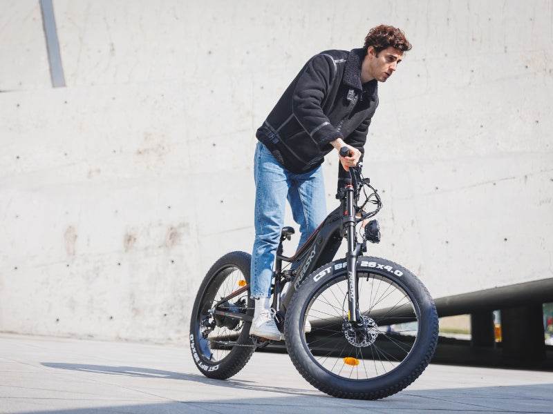 FREESKY Swift Horse Ultra X-6E Electric Bike