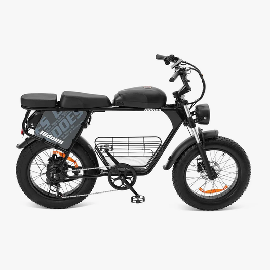 Hidoes B9 Dual Battery Electric Bike