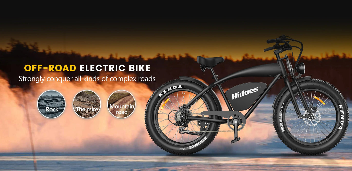 Hidoes B3 - Fat Tyre Electric Bike