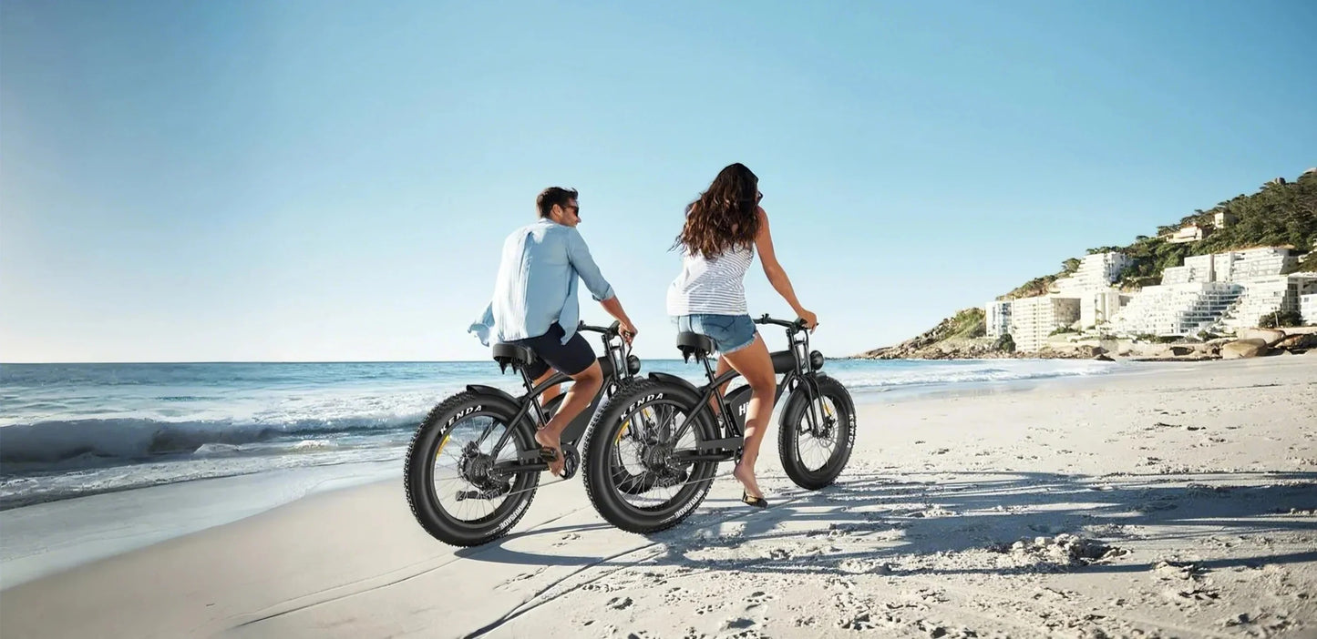 Hidoes B3 - Fat Tyre Electric Bike
