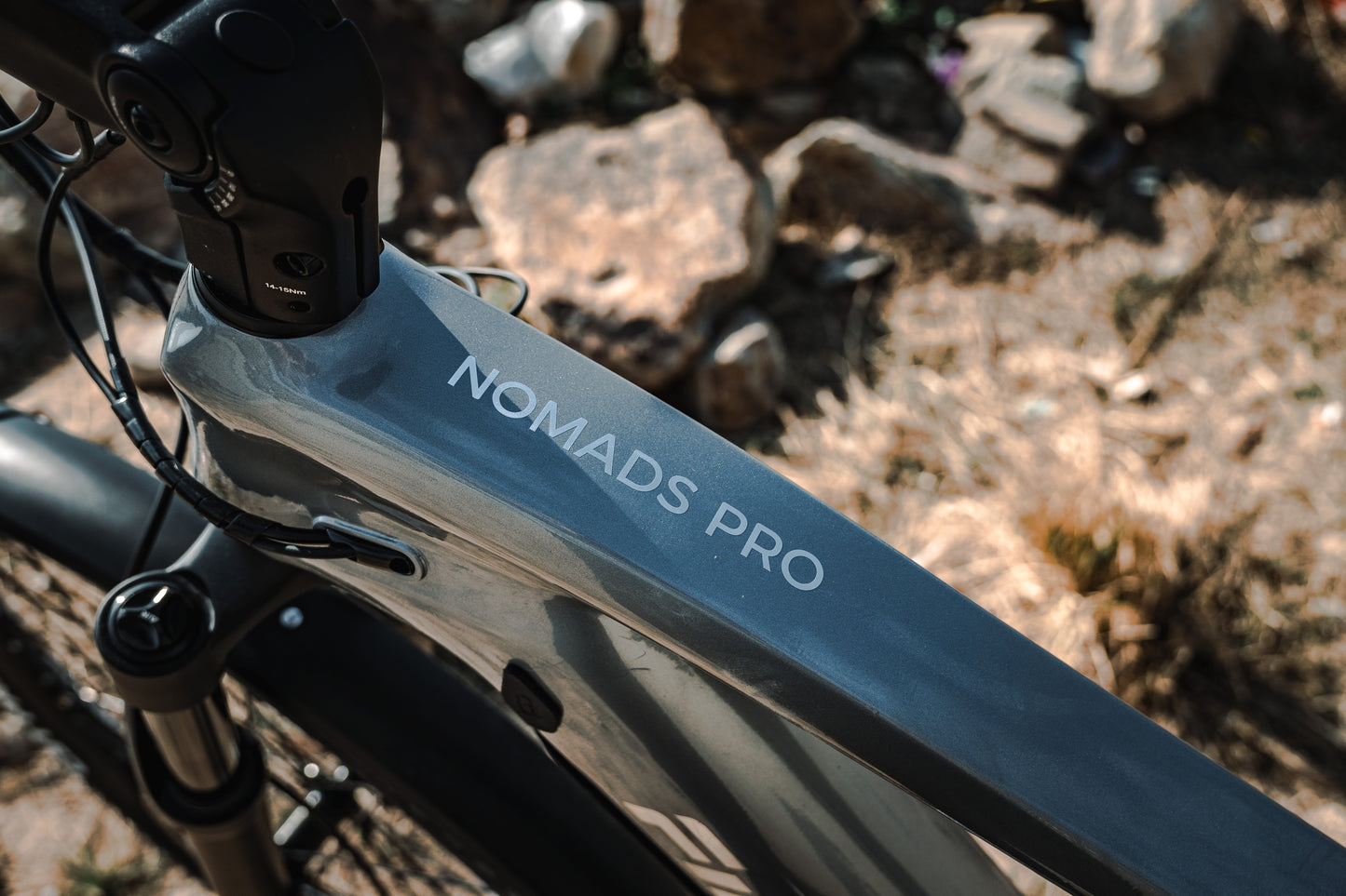 Fiido Nomads Pro Electric Trekking Bike - Pre-Order