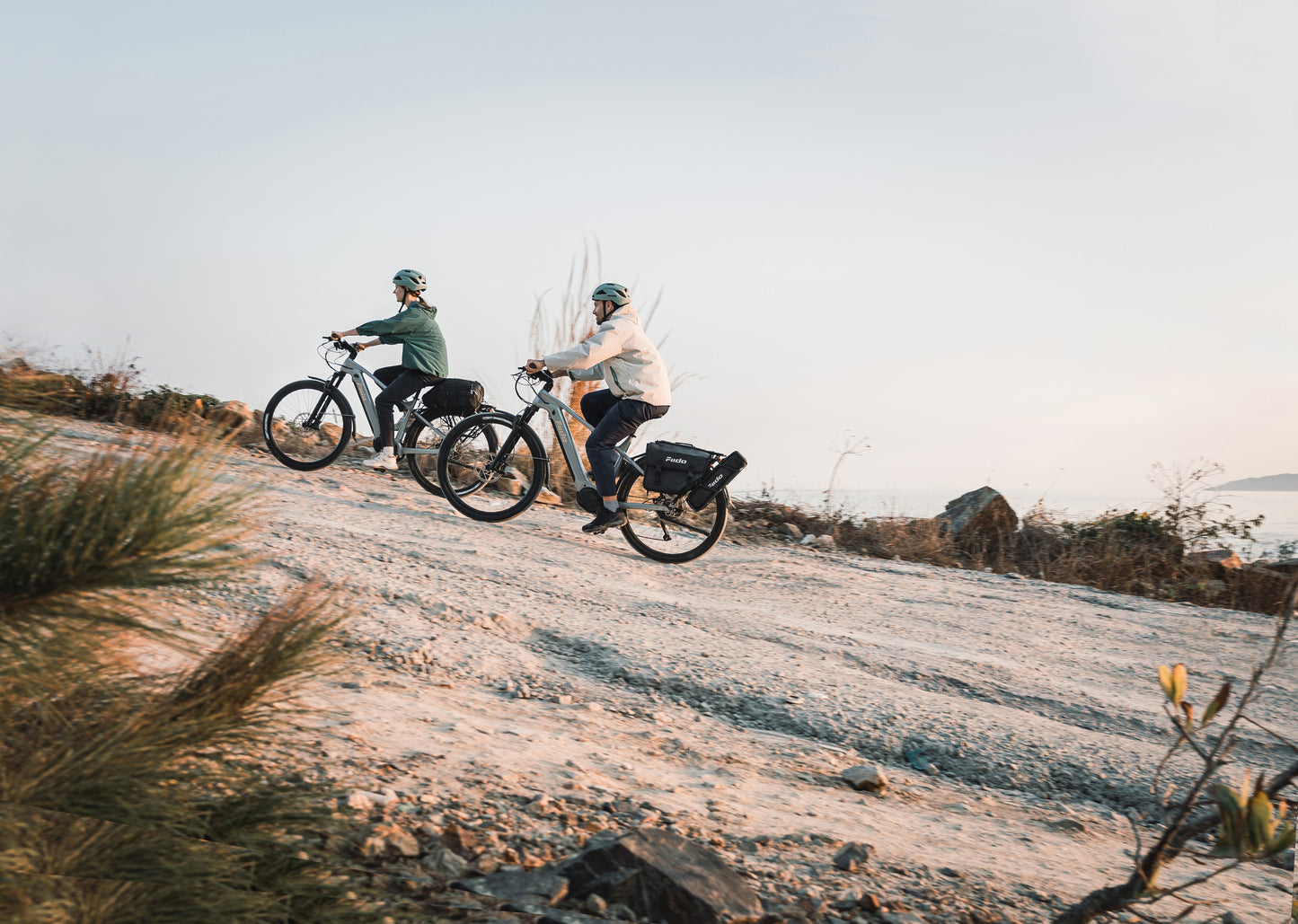 Fiido Nomads Pro Electric Trekking Bike - Pre-Order