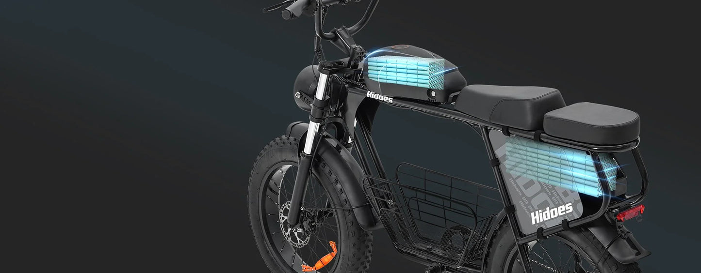 Hidoes B9 Dual Battery Electric Bike