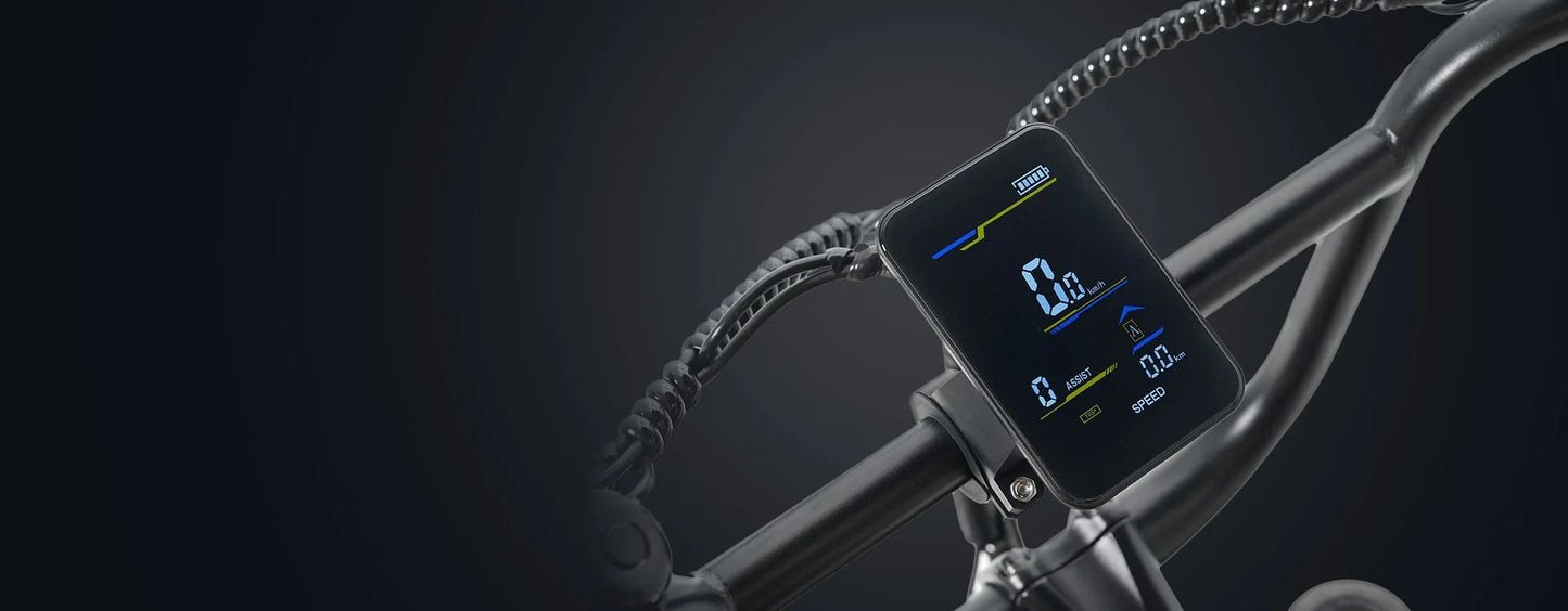 Hidoes B9 Dual Battery Electric Bike