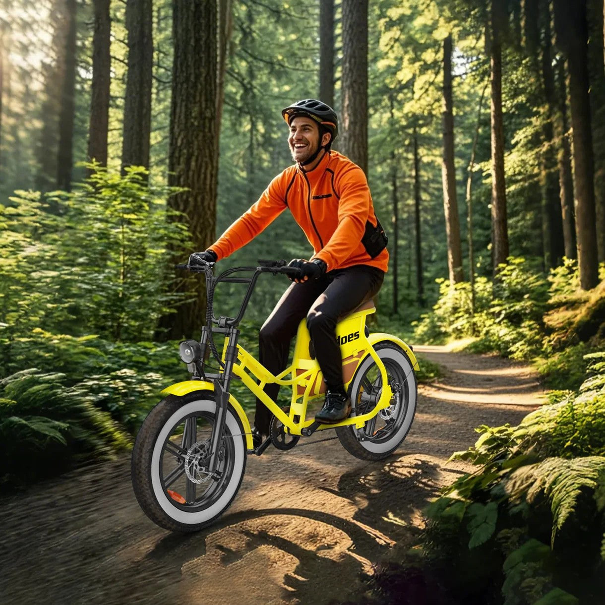 Hidoes C8 Fat Tire Electric Bike