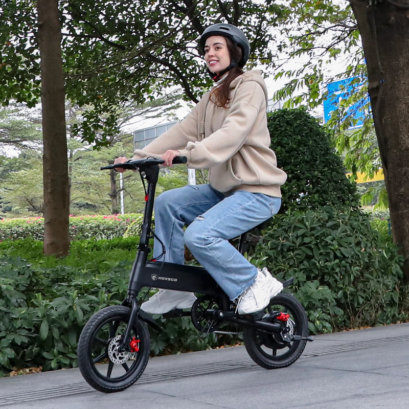 Mini / Compact Electric Bike