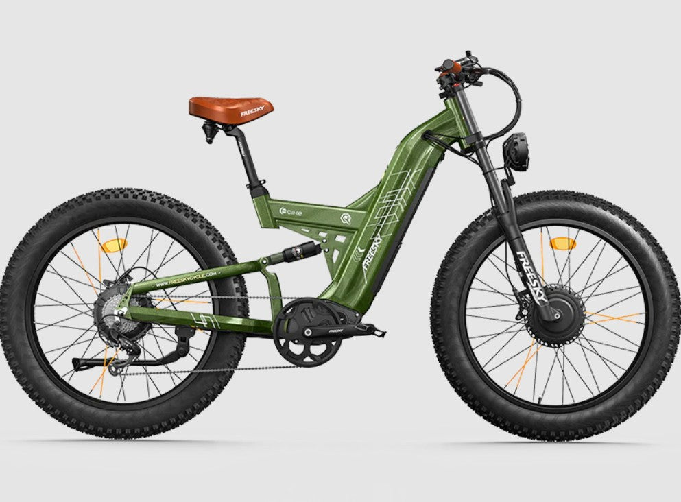 FREESKY Warrior Pro M-530 Dual-Motor All-Terrain Electric Bike