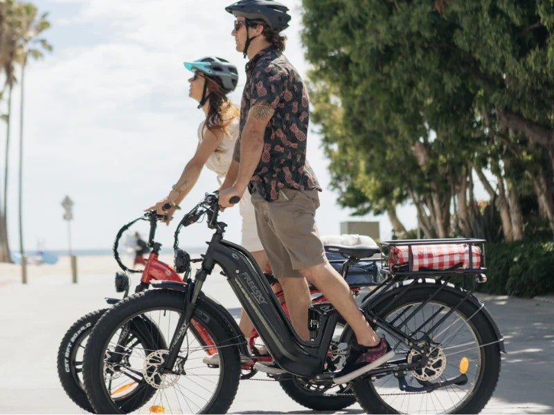 FREESKY Wild Cat Ultra A-340 Electric Bike
