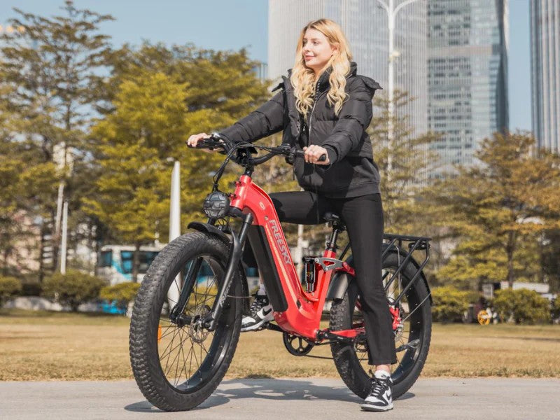 FREESKY Wild Cat Ultra A-340 Electric Bike