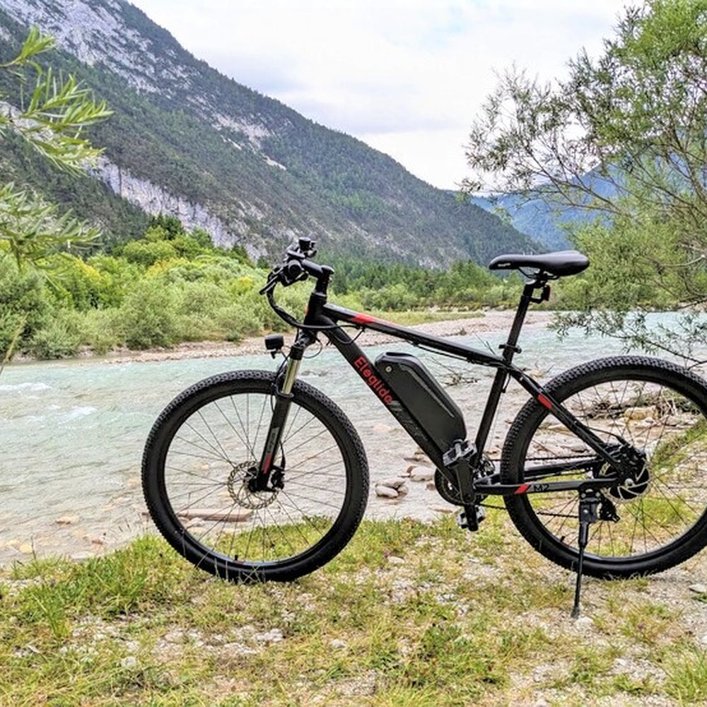Eleglide Electric Mountain Bike M2