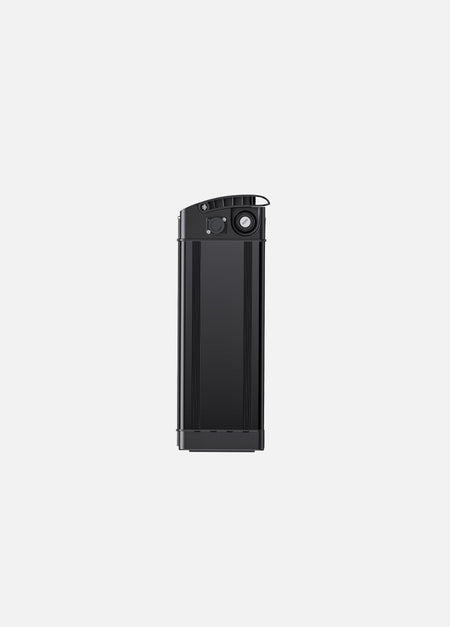 ENGWE Lithium-ion Battery