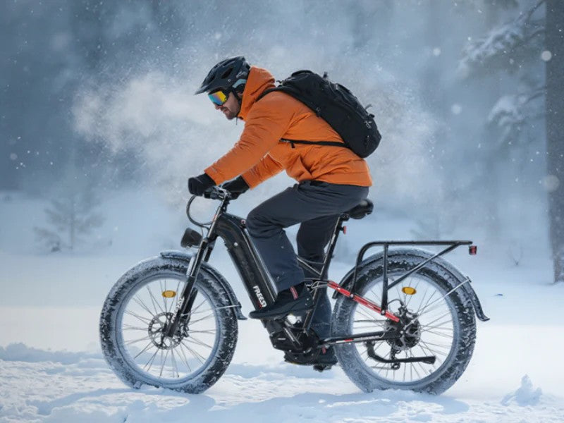 FREESKY Eurostar Ultra M-410 Electric Bike