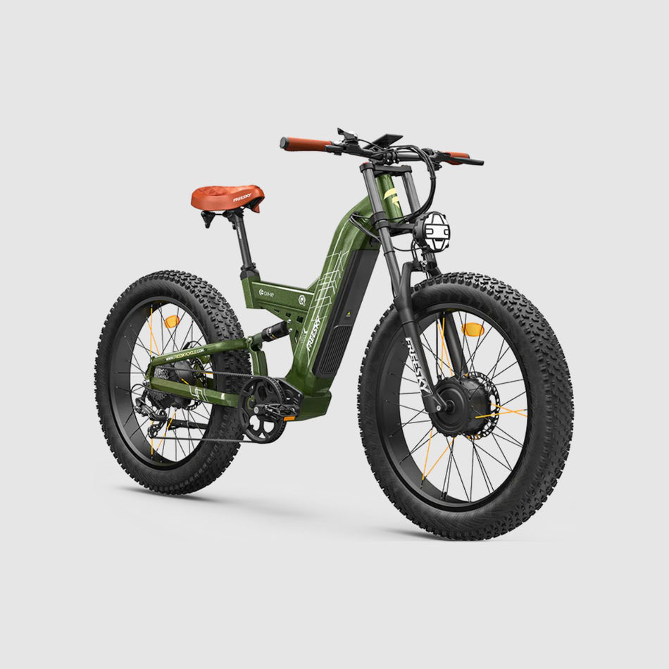 FREESKY Warrior Pro M-530 Dual-Motor All-Terrain Electric Bike