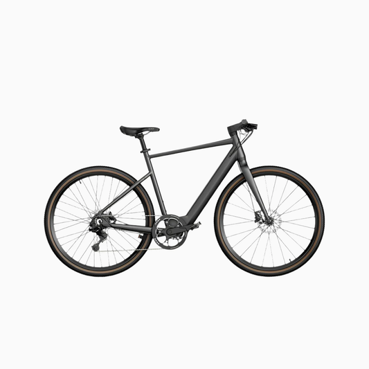 Fiido C21 Gravel & City E-bike