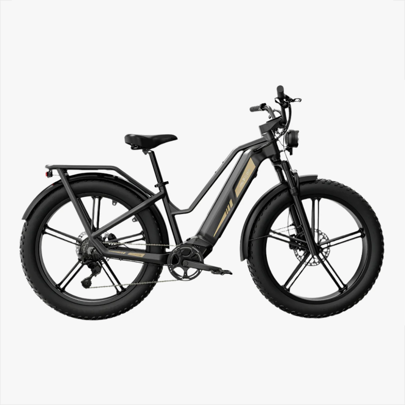Fiido Titan Robust Cargo Electric Bike - Pre Order