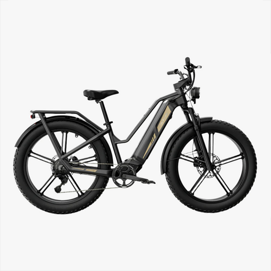 Fiido Titan Robust Cargo Electric Bike - Pre Order